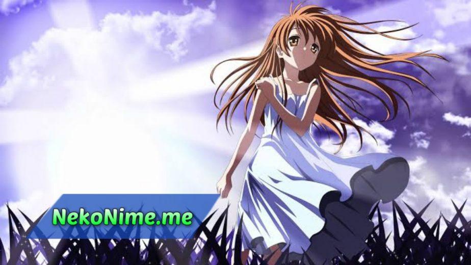 download anime nekonime