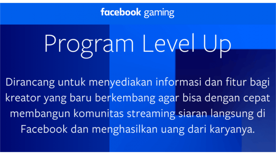 Program level up facebook gaming