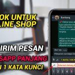 kirim pesan whatsapp cepat