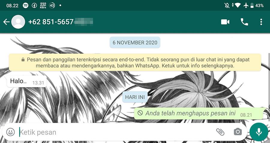 Cara Melihat Pesan Whatsapp Dihapus