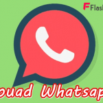 Download Aplikasi Fouad WhatsApp, Ini Dia Fitur Bawaannya