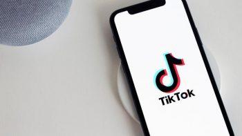 Mau Konten Video Tiktok Keren? Coba Filter Monyet Tiktok yang Super Easy to Use!