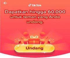 Bingung, Kenapa Koin TikTok Lite Tidak Berputar? Berikut Solusinya!