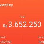 Limit Kredit Sementara Shopee